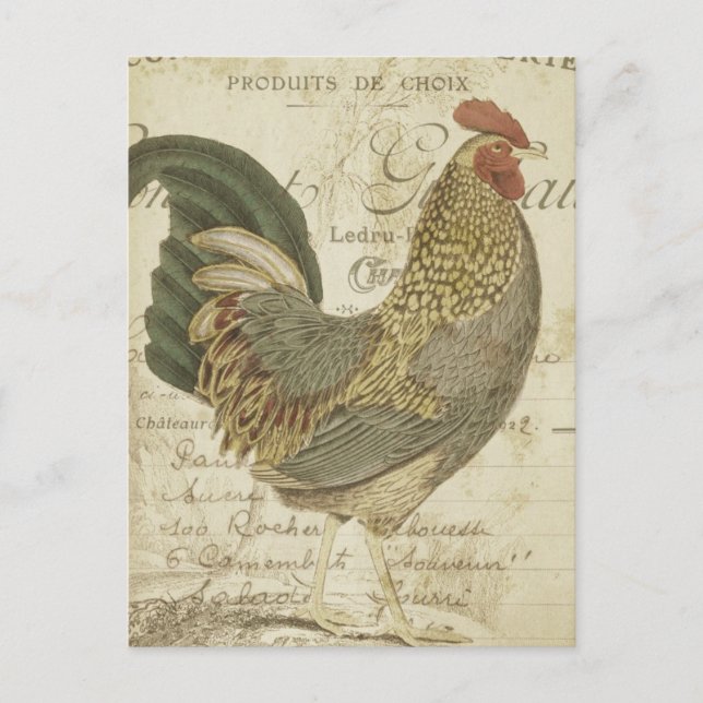 Vintag Rooster Brown Feathers French Ephemera Postkarte (Vorderseite)