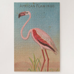 Vintag-rosa Flamingo-Illustration (1889)