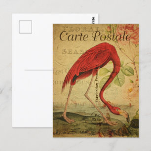 Vintag rosa Flamingo Postkarte