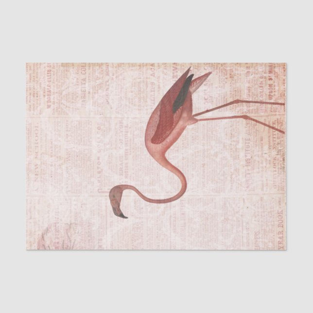 Vintag rosa Flamingo Seidenpapier (Vorderseite)
