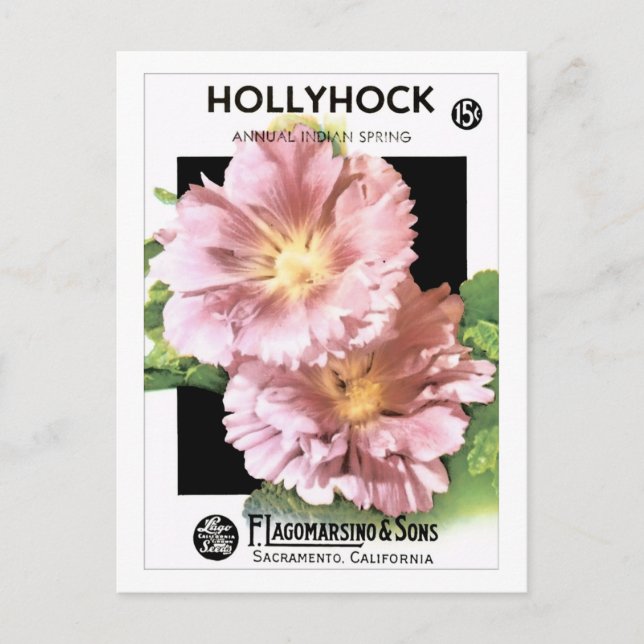 Vintag-Rosa-Hollyhock-Saatpackung Postkarte (Vorderseite)