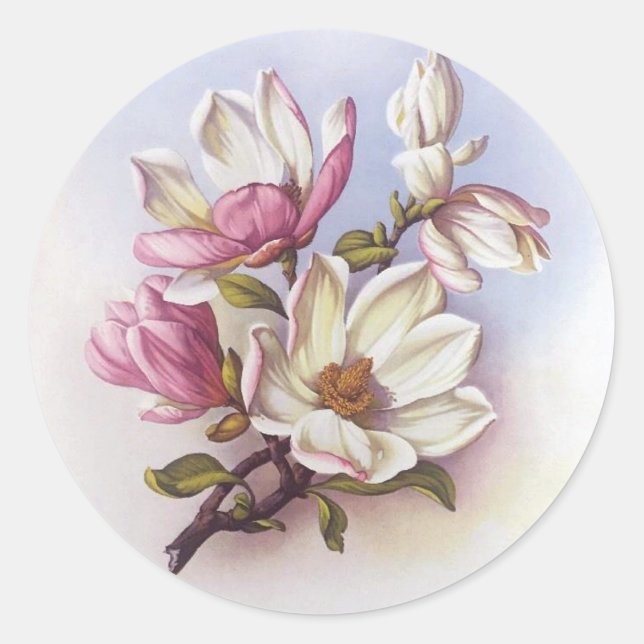 Vintag rosa Magnolia Retro Botanische Stickers (Vorderseite)