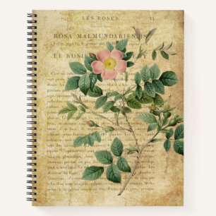 Vintag Rosa malmundariensis Notizbuch