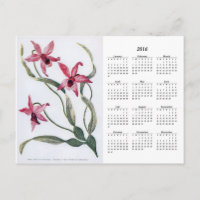 Vintag Rosa Orchid 2016 Blumenkalender Postkarte