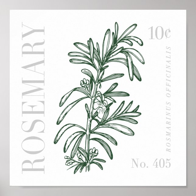 Vintag Rosemary Poster (Vorne)