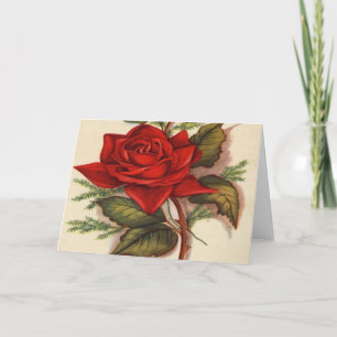 Vintag, Rote Rose, Ehefrau Geburtstag Karte
