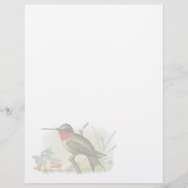 Vintag Ruby Throated Humming Bird Letterhead (Vorderseite)