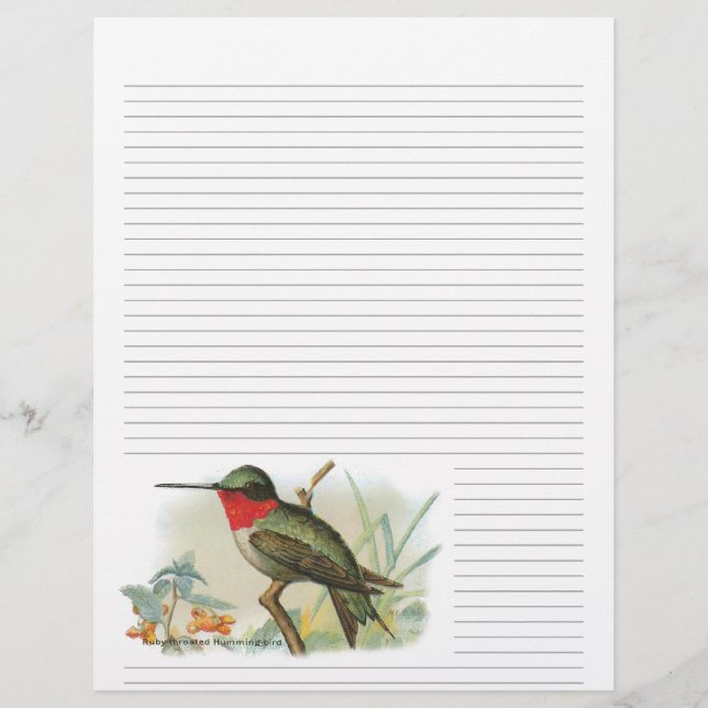 Vintag Ruby Throated Hummingbird Lined Letterhead (Vorderseite)
