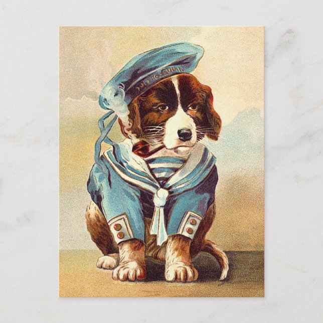 Vintag Sailor Dog Postkarte (Vorderseite)