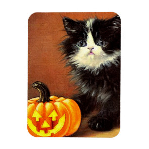 Vintag Schwarz/Weiß Halloween Kitten Magnet