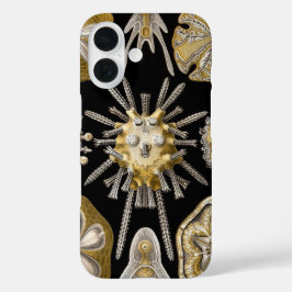 Vintag Sea Urchins Sand Dollars von Ernst Haeckel iPhone 16 Hülle