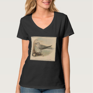 Vintag Seagull Illustration 1906 T-Shirt