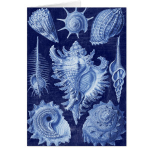 Vintag Seashells Blue