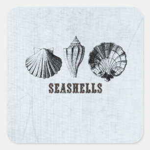 Vintag Seashells Quadratischer Aufkleber