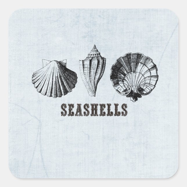Vintag Seashells Quadratischer Aufkleber (Vorderseite)