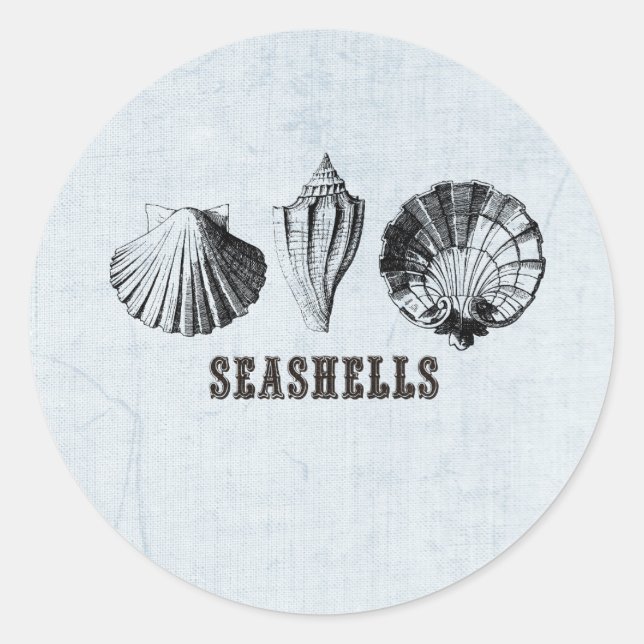 Vintag Seashells Runder Aufkleber (Vorderseite)