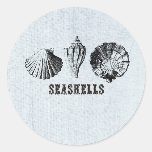 Vintag Seashells Runder Aufkleber (Vorderseite)