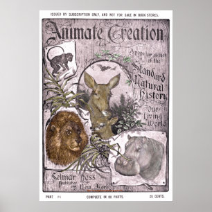 "Vintag-Selmar Hess -1898-Animate Creation" Poster