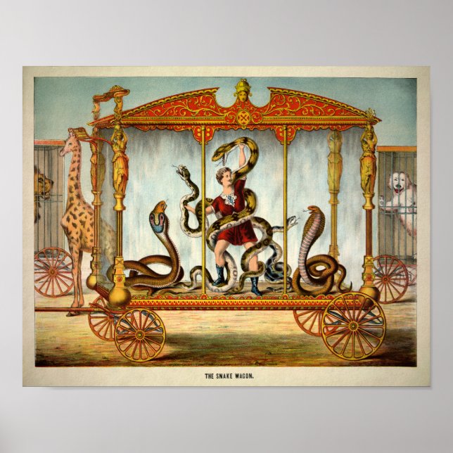 Vintag Snake Wagon Poster (Vorne)
