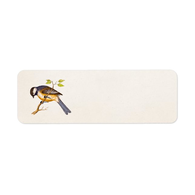 Vintag Song Bird Illustration - Vögel des 18. Jahr (Vorne)