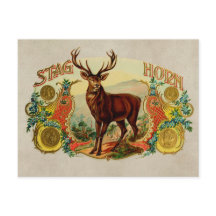 Vintag Stag Horn