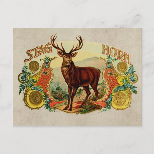 Vintag Stag Horn Postkarte (Vorderseite)
