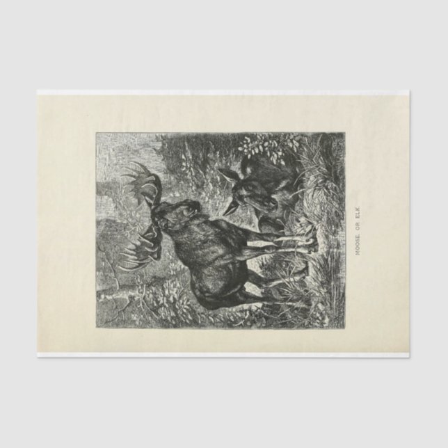 Vintag Stag Moose Ephemera Decoupage Seidenpapier (Vorderseite)