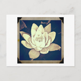 VINTAG STIL LOTUS "FOTOGRAPH" POSTCARD POSTKARTE