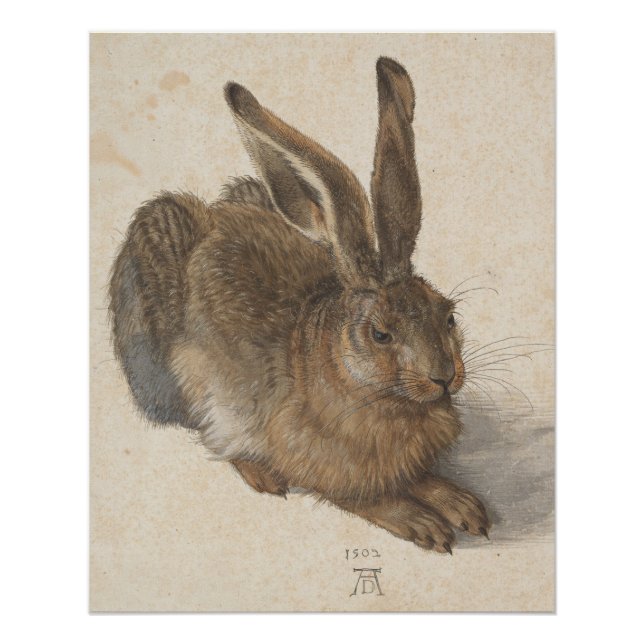 Vintag-Style Albrecht Dürer - Hare Acrylic Poster (Vorderseite)