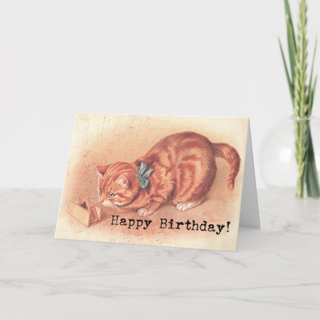 Vintag Tabby Kitty Birthday Karte (Vorderseite)