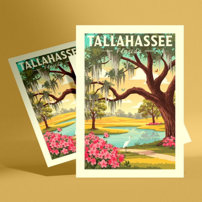Vintag Tallahassee Florida Postkarte (Von Creator hochgeladen)