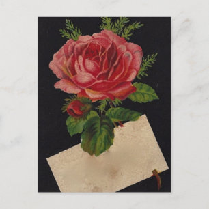 Vintag Tee-Rose Postkarte