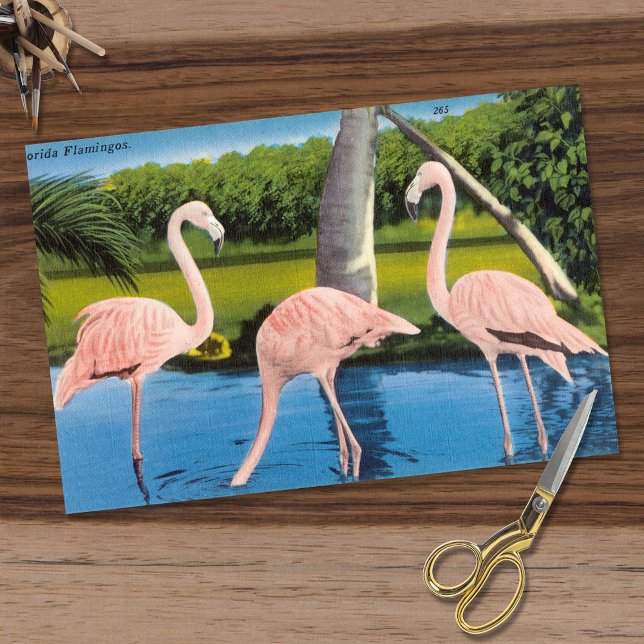 Vintag Three Florida Flamingos Seidenpapier (Von Creator hochgeladen)
