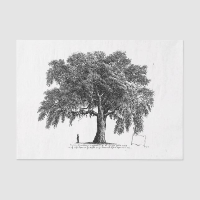 Vintag Tree Ephemera Decoupage Seidenpapier (Vorderseite)