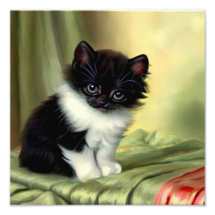 Vintag Tuxedo Kitten Illustration Fotodruck