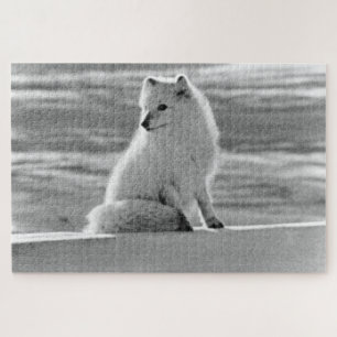 Vintag USA Alaska Arctic fox