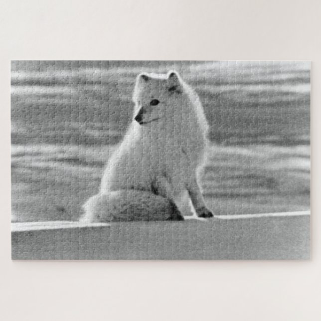 Vintag USA Alaska Arctic fox (Horizontal)