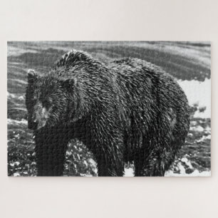 Vintag USA Alaska Braunbär