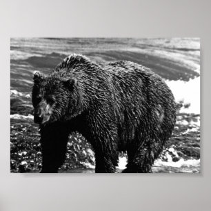 Vintag USA Alaska Braunbär Poster