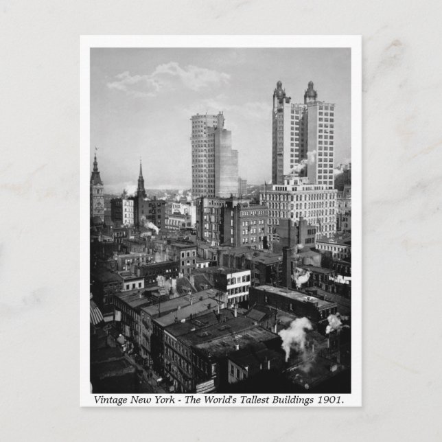Vintag USA, New York City 1901 Postkarte (Vorderseite)