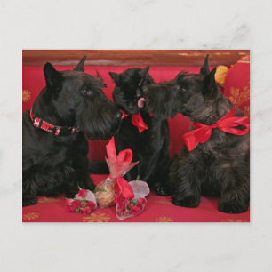 Vintag: Valentinstag - Feiertagspostkarte