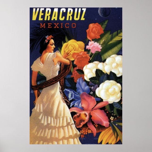 Vintag Veracruz Mexico Reisen Poster (Vorne)