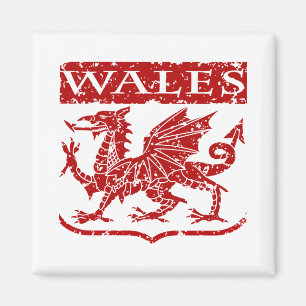 Vintag Wales Magnet