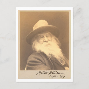 Vintag Walt Whitman Portrait Postkarte