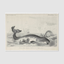 Vintag Whale Ship Ephemera Decoupage Nautic Seidenpapier