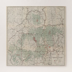 Vintag White Mountains National Forest Map (1931)