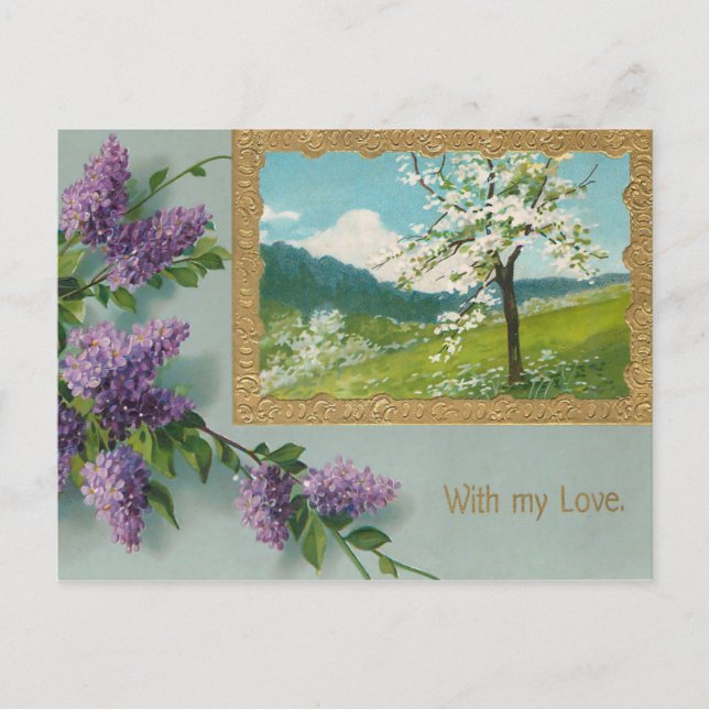 Vintag Wisteria Valentine Feiertagspostkarte (Vorderseite)
