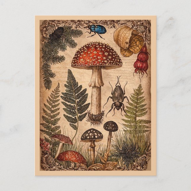 Vintag Woodland Toadstol Ferns Beetles Postkarte (Vorderseite)