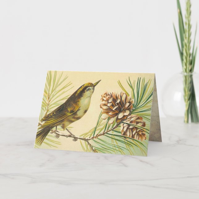 Vintag Wren Birthday Card Karte (Vorderseite)