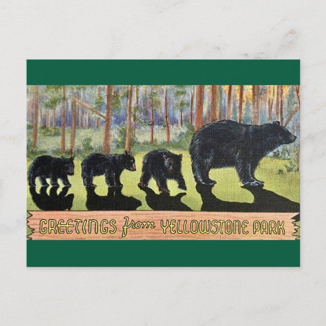 Vintag Yellowstone Park Bears Postkarte (Vorderseite)